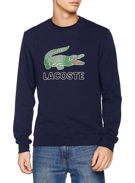 Felpe Lacoste SH6382 Blu Navy Uomo