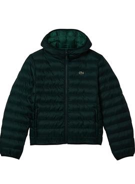 Giacca Lacoste Blouson Imbottito Verde Uomo