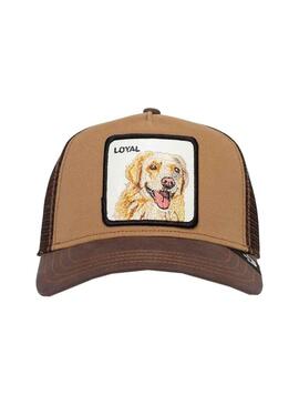 Berretto Goorin Bros The Loyal Dog Camel