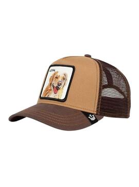 Berretto Goorin Bros The Loyal Dog Camel