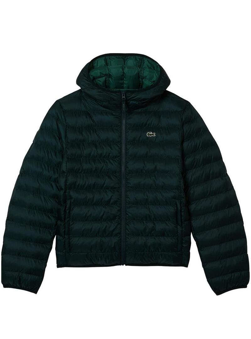 Giacca Lacoste Blouson Imbottito Verde Uomo