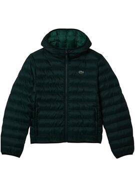 Giacca Lacoste Blouson Imbottito Verde Uomo