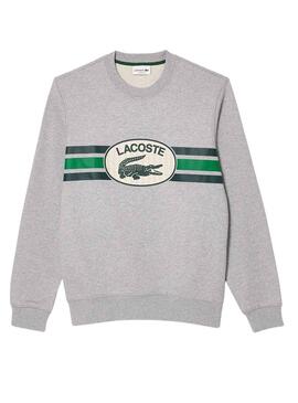 Felpa Lacoste Loose Fit Grigio per Uomo