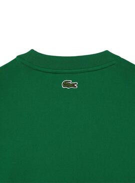 T-Shirt Lacoste Knitted Imbottito Verde Uomo