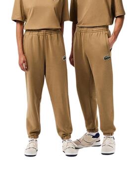 Pantaloni Tuta Sportiva Lacoste Logo Overtaglia Marrone