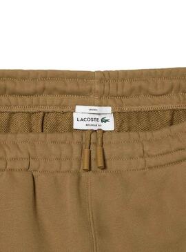 Pantaloni Tuta Sportiva Lacoste Logo Overtaglia Marrone