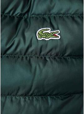 Gilet Lacoste Imbottito Verde per Uomo