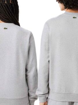 Felpa Lacoste Insignia Grigio per Uomo