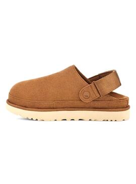 Zoccoli UGG Goldenstar Camel per donne