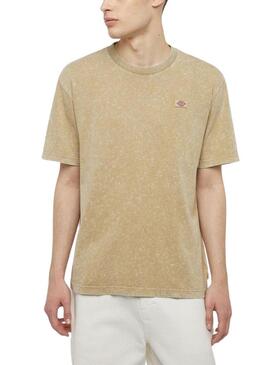 Maglietta Dickies Newington Tee Beige per Uomo