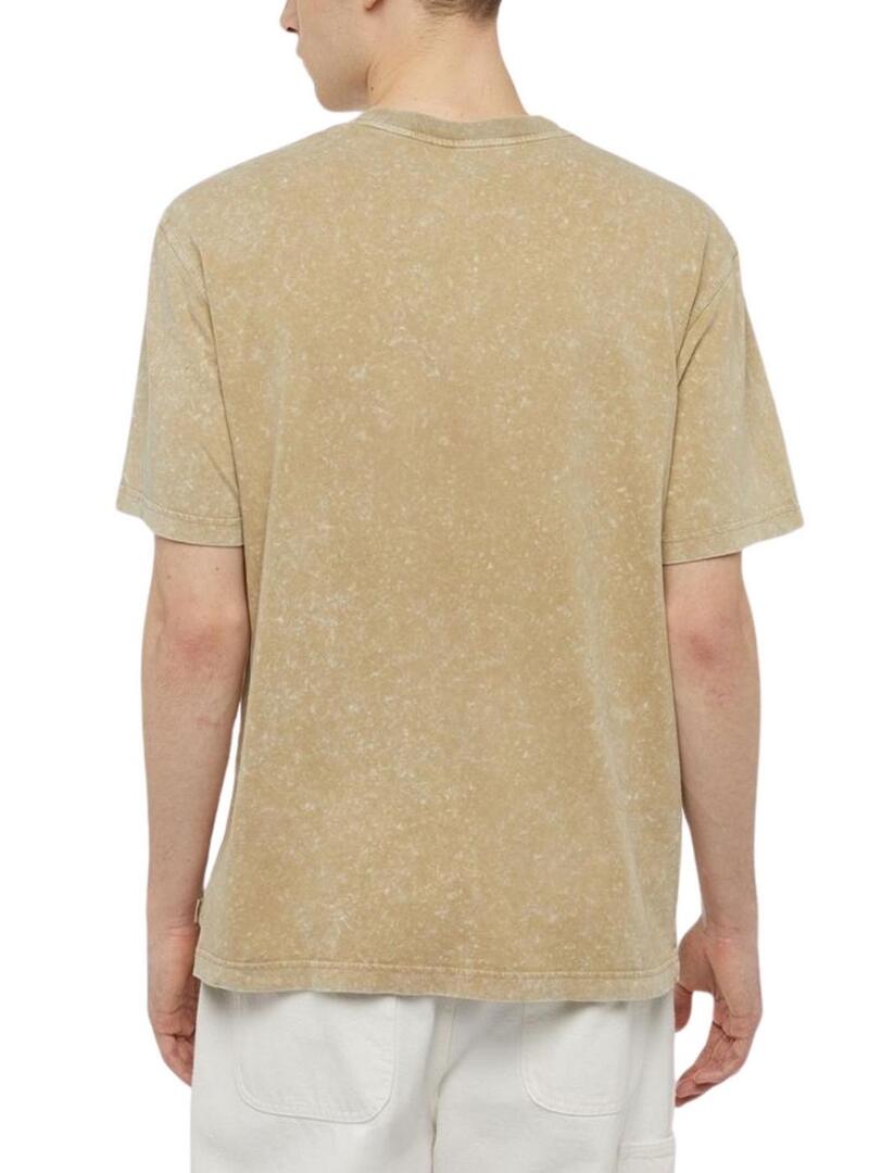 Maglietta Dickies Newington Tee Beige per Uomo