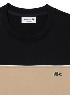 Felpa Lacoste con blocchi di colore nero per uomo.