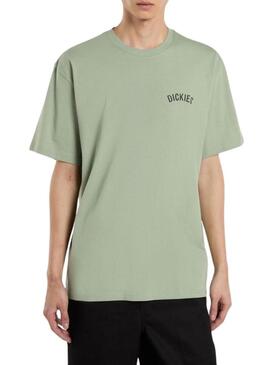 Maglietta Dickies Snake verde per uomo