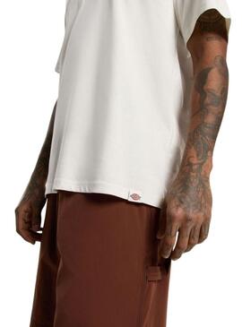 Maglietta Dickies Outdoor beige per uomo