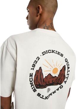 Maglietta Dickies Outdoor beige per uomo