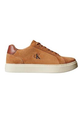 Sneakers Calvin Klein Jeans Classis Cupsole marrone per uomo