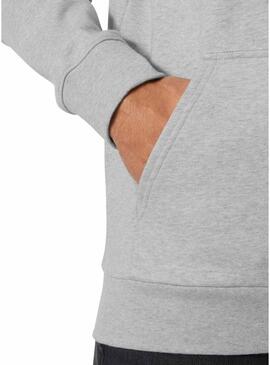 Felpa grigia Helly Hansen Core Graphic per uomo