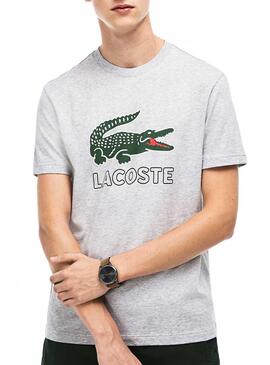 T-Shirt Lacoste Logo Grigio Uomo