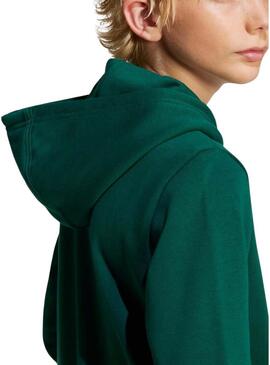 Felpa Adidas Trefoil verde per ragazzi e ragazze