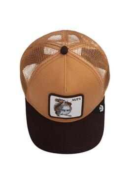 Cappello Goorin Bros Nuts marrone e tostato per uomo