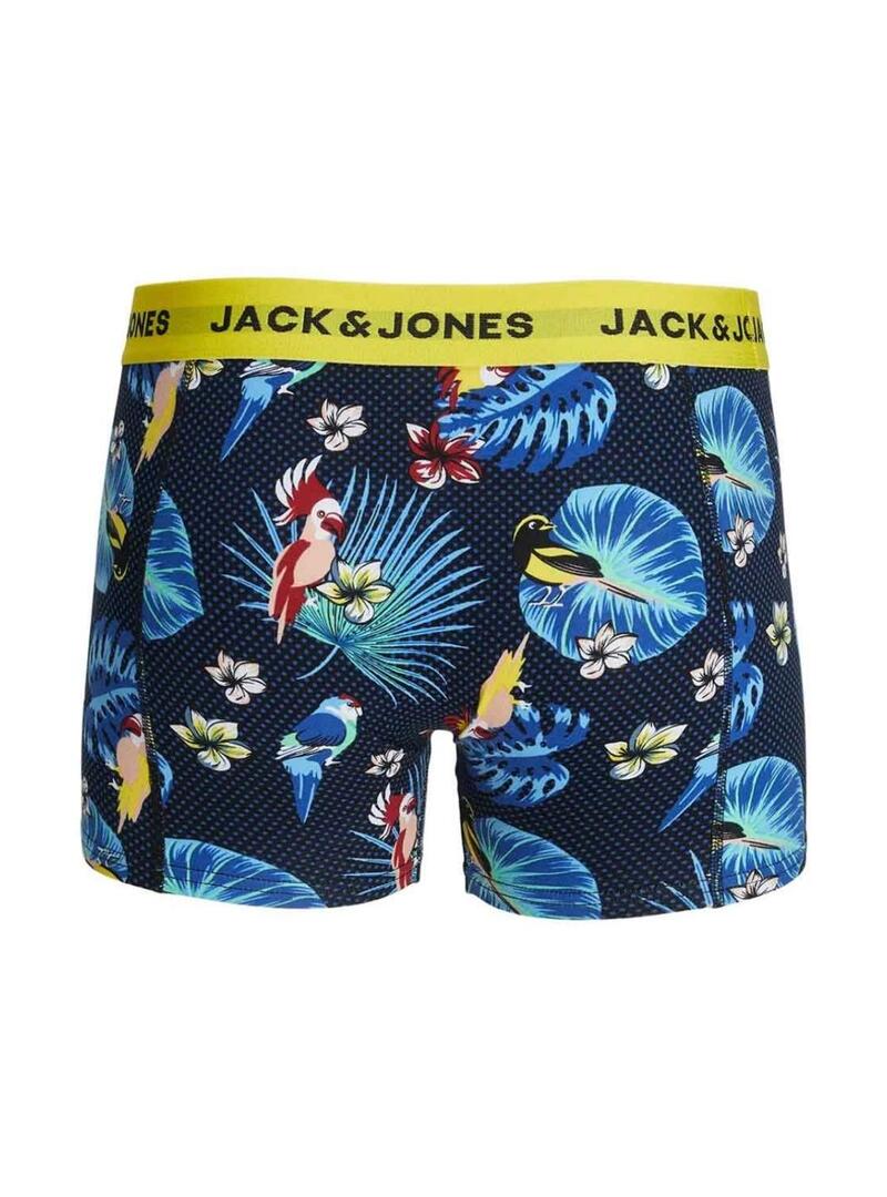 Scatola di boxer Jack and Jones Flower Bird per uomo