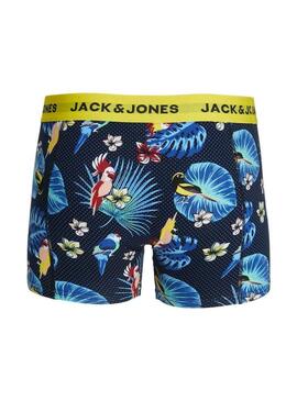 Scatola di boxer Jack and Jones Flower Bird per uomo