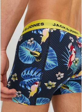 Scatola di boxer Jack and Jones Flower Bird per uomo