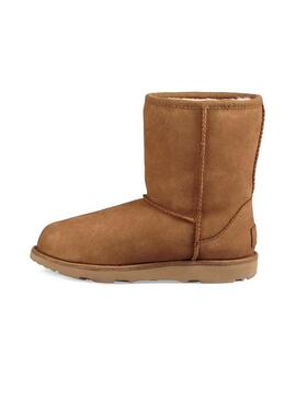 Stivales UGG Classics Short II Chestnut Cammello