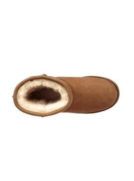 Stivales UGG Classics Short II Chestnut Cammello