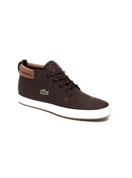 Stivaletti Lacoste Ampthill Marrone Uomo