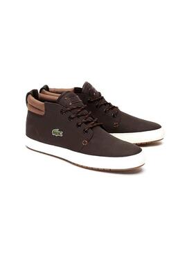 Stivaletti Lacoste Ampthill Marrone Uomo