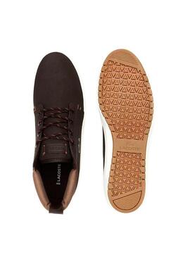 Stivaletti Lacoste Ampthill Marrone Uomo