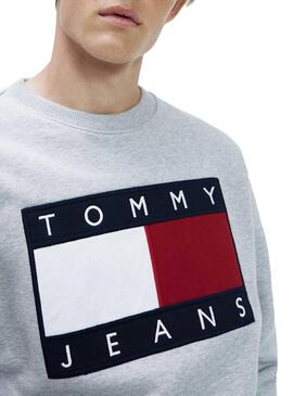 Felpe Tommy Jeans Badge Grigio Per Uomo