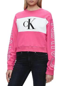 Felpe Calvin Klein Blocking Logo rosa Donna