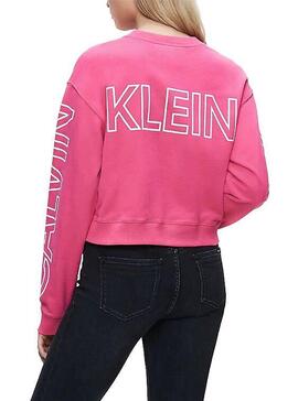 Felpe Calvin Klein Blocking Logo rosa Donna