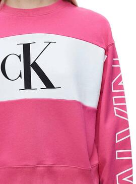 Felpe Calvin Klein Blocking Logo rosa Donna