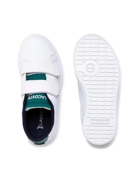 Sneaker Lacoste Carnaby Evo White Kids