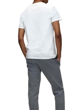 T-Shirt Calvin Klein Round Logo Bianco Uomo
