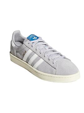 Sneaker Adidas Campus Grey