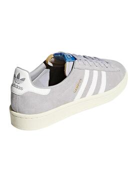 Sneaker Adidas Campus Grey