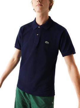 Polo Lacoste Caiman Blu Navy